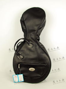 高級(jí)中阮琴包與精品中國二胡系列 民樂樂器箱包的專業(yè)選擇